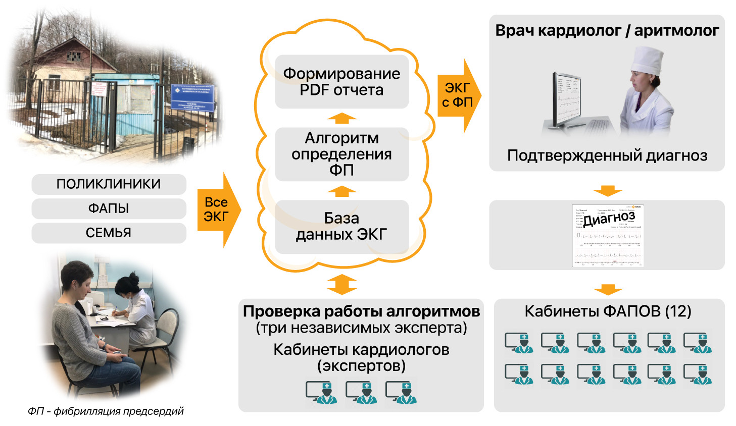 ФСК Мытищи - CardioQVARK - Технология